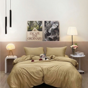 Các Mẫu Chăn Drap Trơn