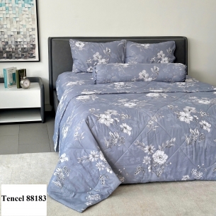 Các Mẫu Chăn Drap Họa Tiết