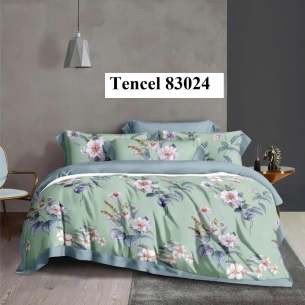 Các Mẫu Chăn Drap Họa Tiết